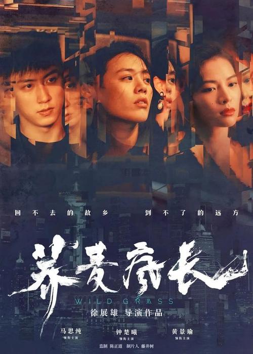 初级会计证如果没有高中毕业证怎么办